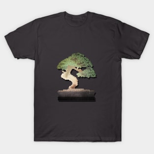 Isometric Bonsai T-Shirt